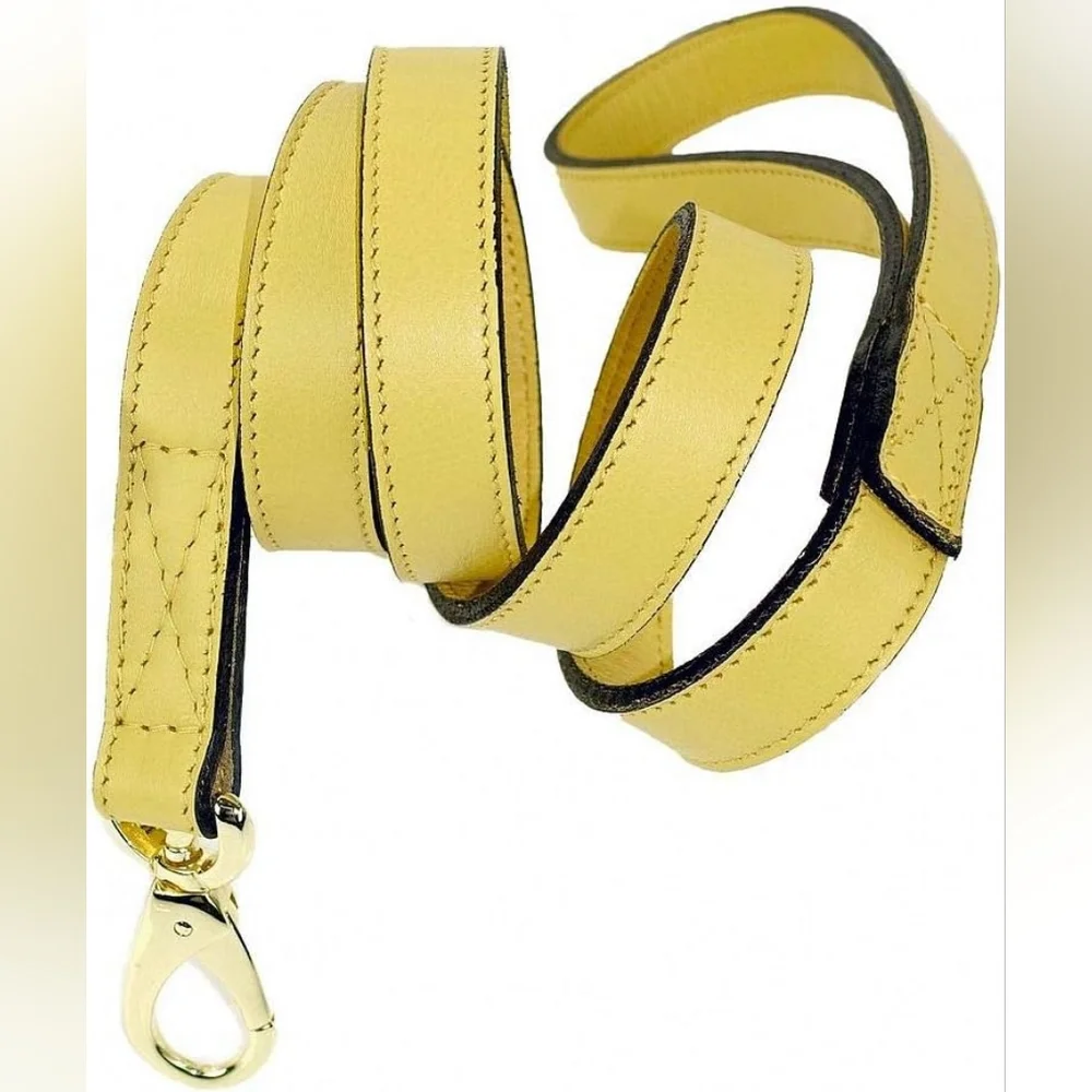 NEW tags Hartman & Rose Crystal Daisy Dog Lead, 3/4-Inch, Canary Yellow
